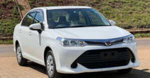 Toyota Axio W×B